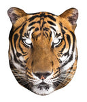 Tijger masker